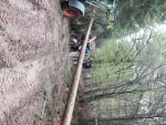 IMG-20170422-WA0021.jpg
