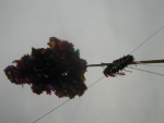DSCN4661.JPG