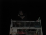 DSCN4679.JPG