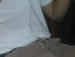 DSCN4596.JPG