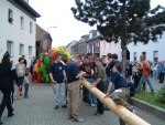 DSCF0088.JPG