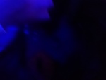 DSC_1508.JPG