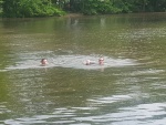 20170514_180034.jpg