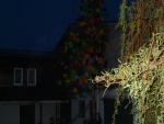 DSCF0093.JPG