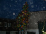 DSCF0094.JPG