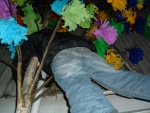 DSCF0097.JPG