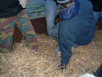 DSCF0110.JPG