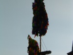 DSCF0124.JPG