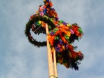 DSCF0139.JPG